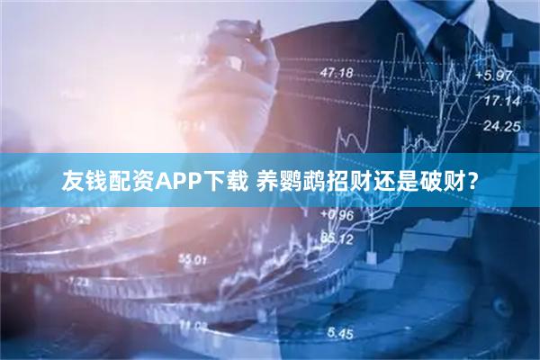 友钱配资APP下载 养鹦鹉招财还是破财？