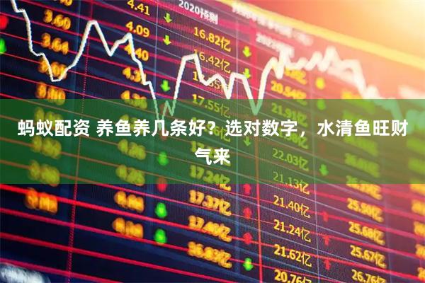 蚂蚁配资 养鱼养几条好？选对数字，水清鱼旺财气来