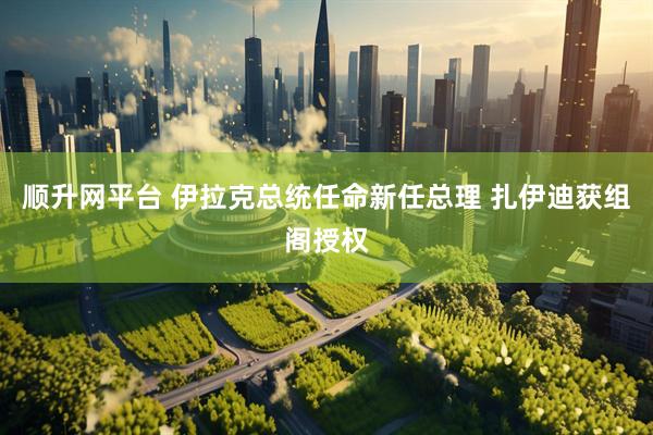 顺升网平台 伊拉克总统任命新任总理 扎伊迪获组阁授权