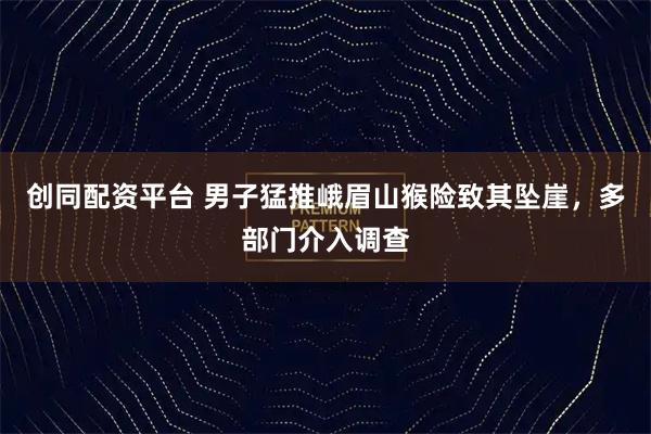 创同配资平台 男子猛推峨眉山猴险致其坠崖，多部门介入调查